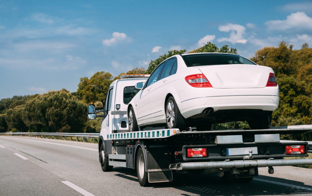 bagcilarcekicicagir.com